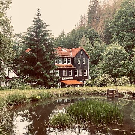 Waldhaus Wolfsbachmuehle Hotel Hohegeiss Exterior photo