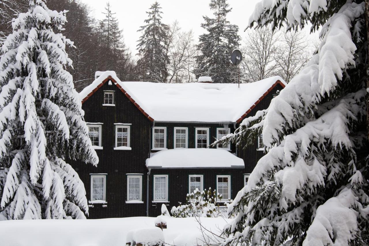 Waldhaus Wolfsbachmuehle Hotel Hohegeiss Exterior photo